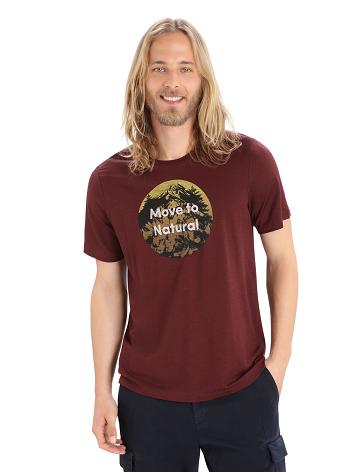 Men's Icebreaker Merino Tech Lite II Short Sleeve Natural Alps T Shirts Espresso | CA 1755EBCX